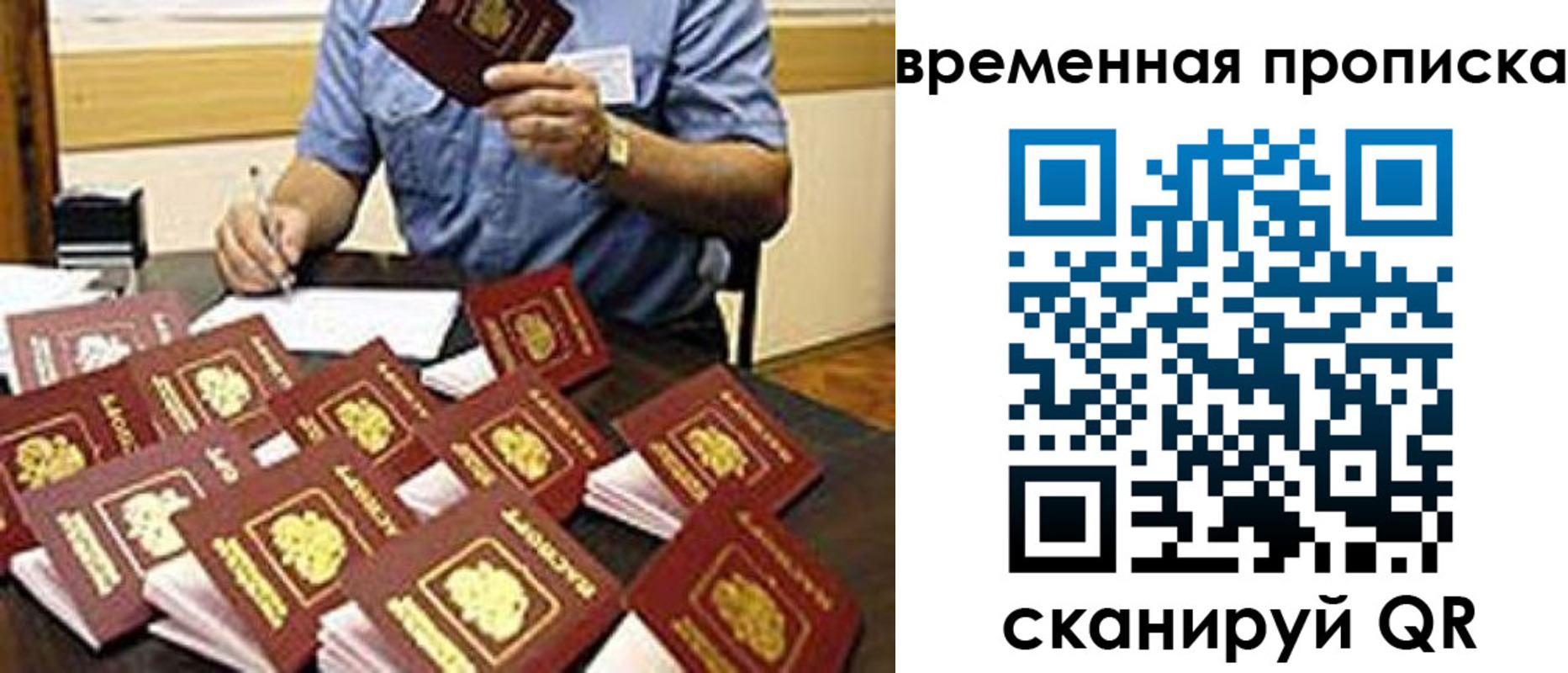 прописка для школы в Краснознаменске
